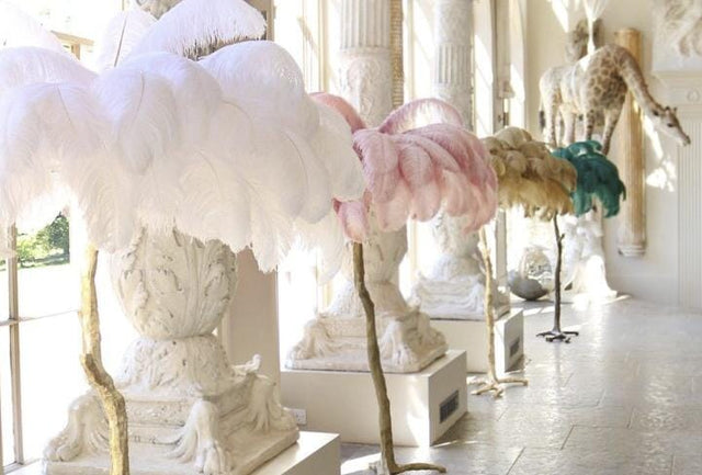The Feather Lamp Collection