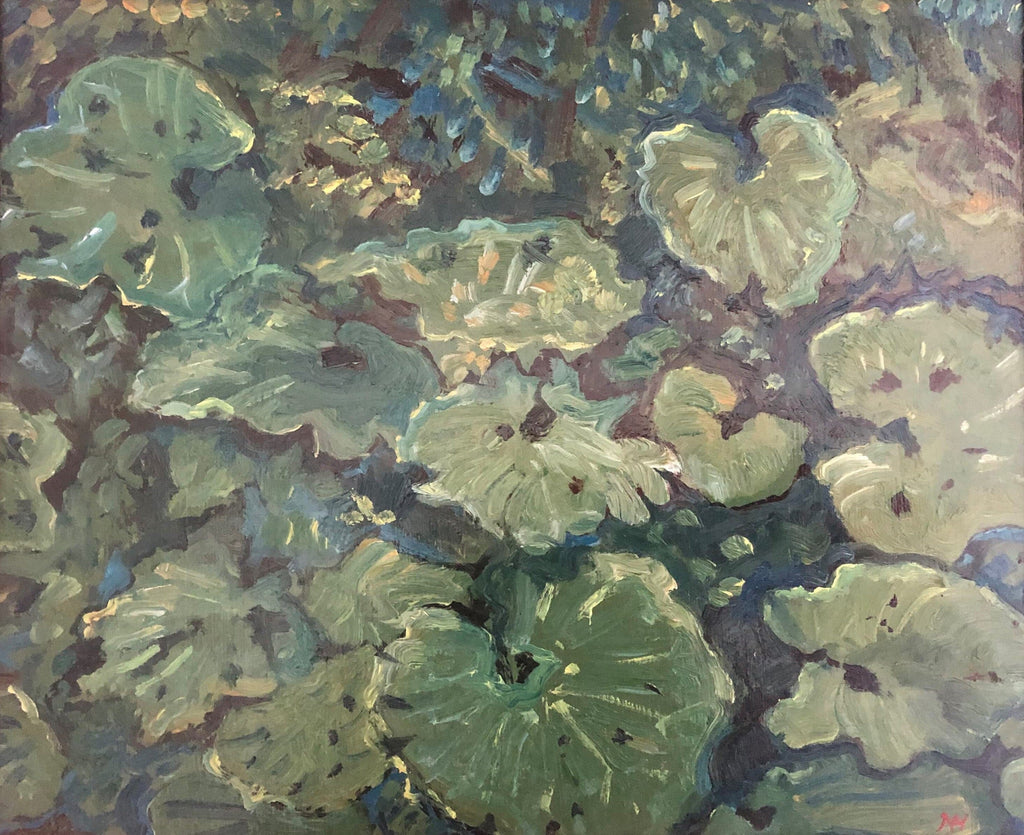 Study of Leaves