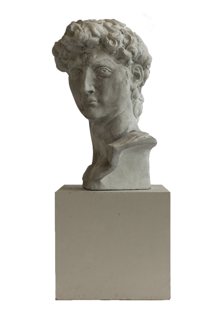 Bust of David - A Modern Grand Tour