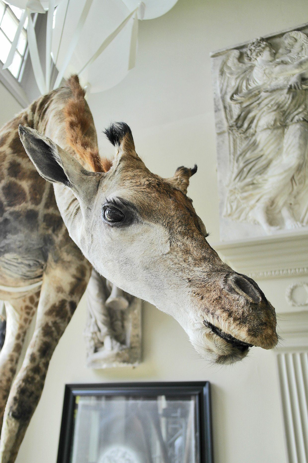 小物 BURTONBARTON PERREIRA GRIFFIN AF Barton Perreira