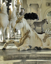 Unicorn_Main_180x.jpg?v=1683112296