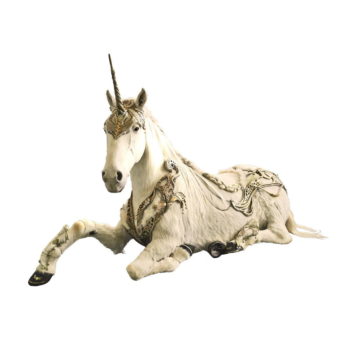 ミュージシャン UNICON MEMORIAL PHOTO STAND ミュージシャン UNICON MEMORIAL PHOTO STAND UNICON MEMORIAL PHOTO