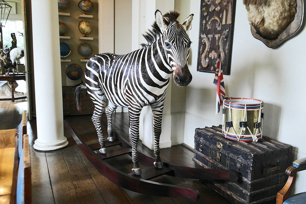 'The Original Aynhoe Rocking Zebra' by James Perkins - A Modern Grand Tour