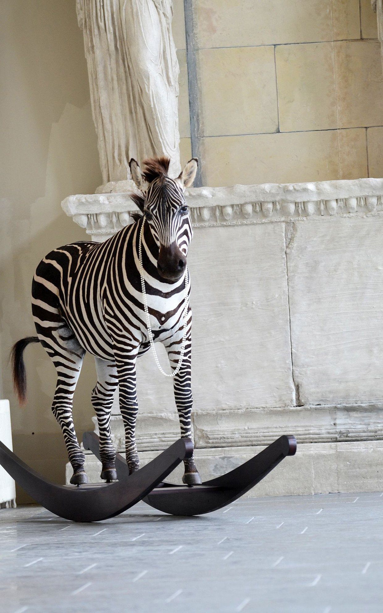 Zebra rocking horse top