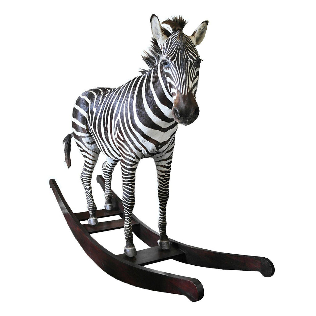 'The Original Aynhoe Rocking Zebra' by James Perkins - A Modern Grand Tour