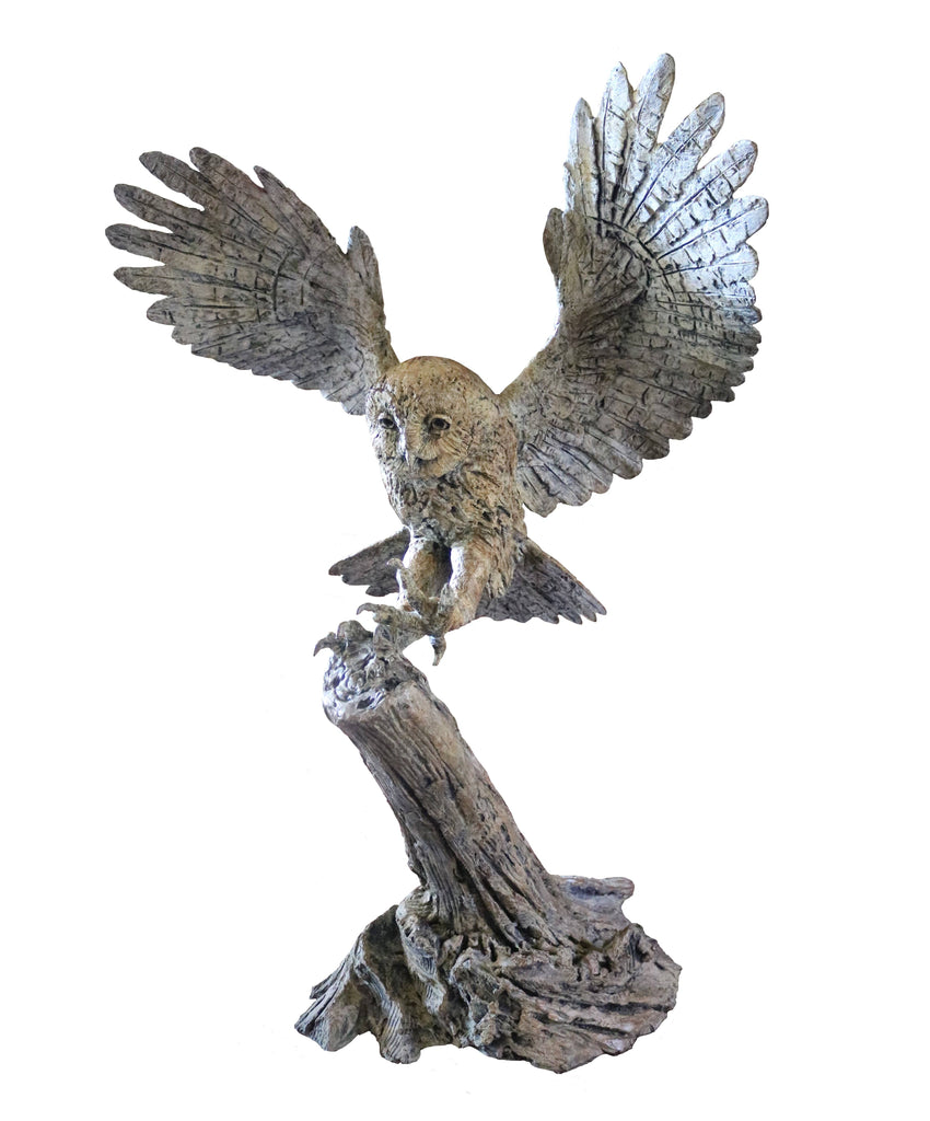 Tawny Owl 2020 by Hamish Mackie