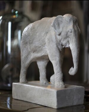 Plaster Elephant