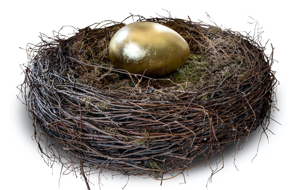 Golden egg in nest — James Perkins