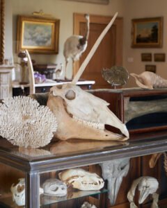 Minerals and objects at Parnham